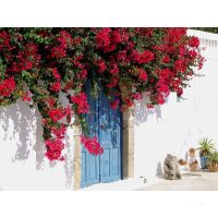 Segelreise Griechische Inseln 18.07.2026 - 25.07.2026-8T...