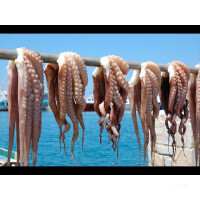 Segelreise Kykladen 13.09.2025 - 20.09.2025-8T KY2* Mykonos - Santorini-L