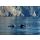Segelreise Mallorca Ibiza 01.08.2026 - 08.08.2026-8T M4* Port Soller - Ibiza-B
