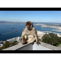 Royal Clipper Portugal und Spanien 04.10.2025 - 17.10.2025-14T SP1* Rom - Lissabon-6