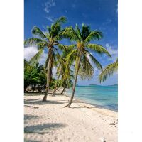 Grenadines -  Sailing Cruise Carribean at Royal Clipper (7 Days) -