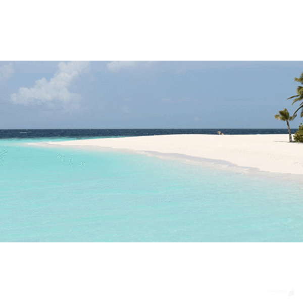 Grenadines -  Sailing Cruise Carribean at Royal Clipper (7 Days) -