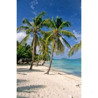Grenadines -  Sailing Cruise Carribean at Royal Clipper (7 Days) -