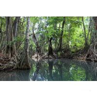 Winsward Islands - Sailing Cruise Carribean at Royal Clipper (7 Days) -