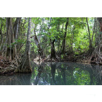 Winsward Islands - Sailing Cruise Carribean at Royal Clipper (7 Days) -