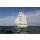 Star Clipper Transatlantik Ost-West 14.11.2025 - 29.11.2025-16T Las Palmas - Barbados-6