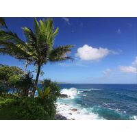 Star Clipper Costa Rica und Panama 27.12.2025 bis 03.01.2026-8T PC2* Puerto Caldera - Balboa-6