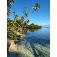 Star Clipper Nationalparks Costa Rica  20.12.2025 bis 27.12.2025-8T PC3* ab/an Puerto Caldera-6