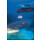 Star Clipper Nationalparks Costa Rica  20.12.2025 bis 27.12.2025-8T PC3* ab/an Puerto Caldera-6