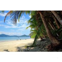 Star Clipper Panama-Costa Rica 13.12.2025 bis 20.12.2025-8T PC1* Balboa - Puerto Caldera-6