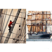 Segeln mit der Sedov in der Ostsee