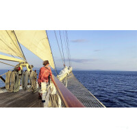 Winsward Islands - Sailing Cruise Carribean at Royal Clipper (7 Days) -