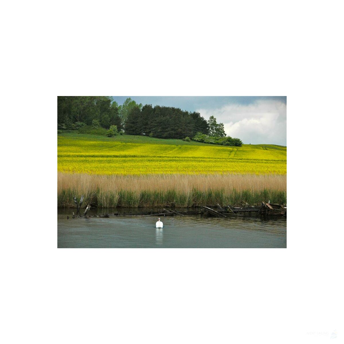 Segeltörn Ostsee ab Rügen 28.06.2025 - 05.07.2025-Double