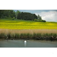 Segeltörn Ostsee ab Rügen 28.06.2025 -...
