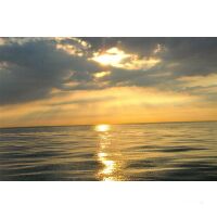 Segeltörn Ostsee ab Rügen 28.06.2025 - 05.07.2025-Double