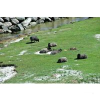 Segeltörn Ostsee ab Rügen 28.06.2025 - 05.07.2025-Double