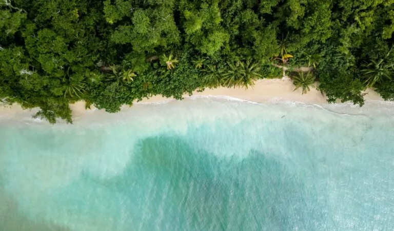 DJI 0367 costa rica plage dumont durville julien fabro
