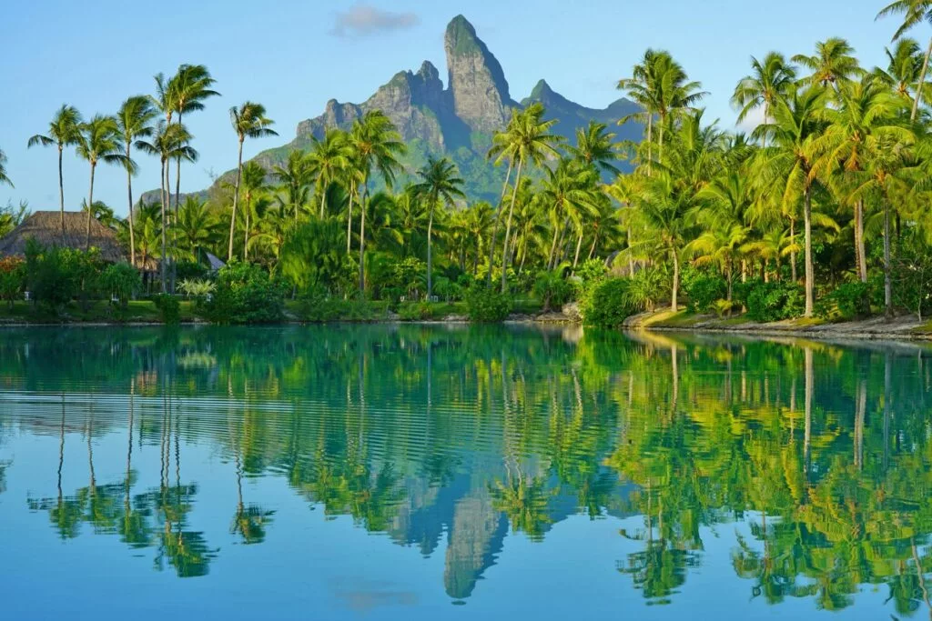 SSC_MO_suite_02 - Glacier Magic and Coastal Wonders