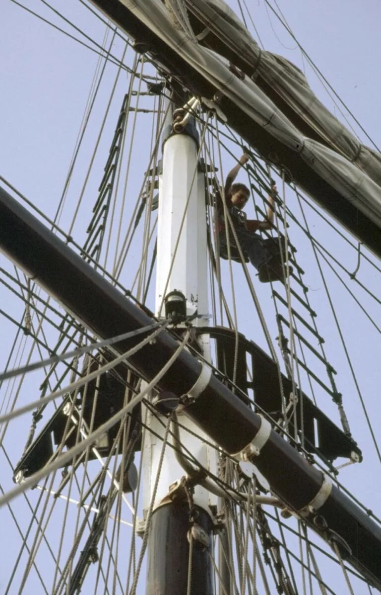 Masttop der Oosterschelde
