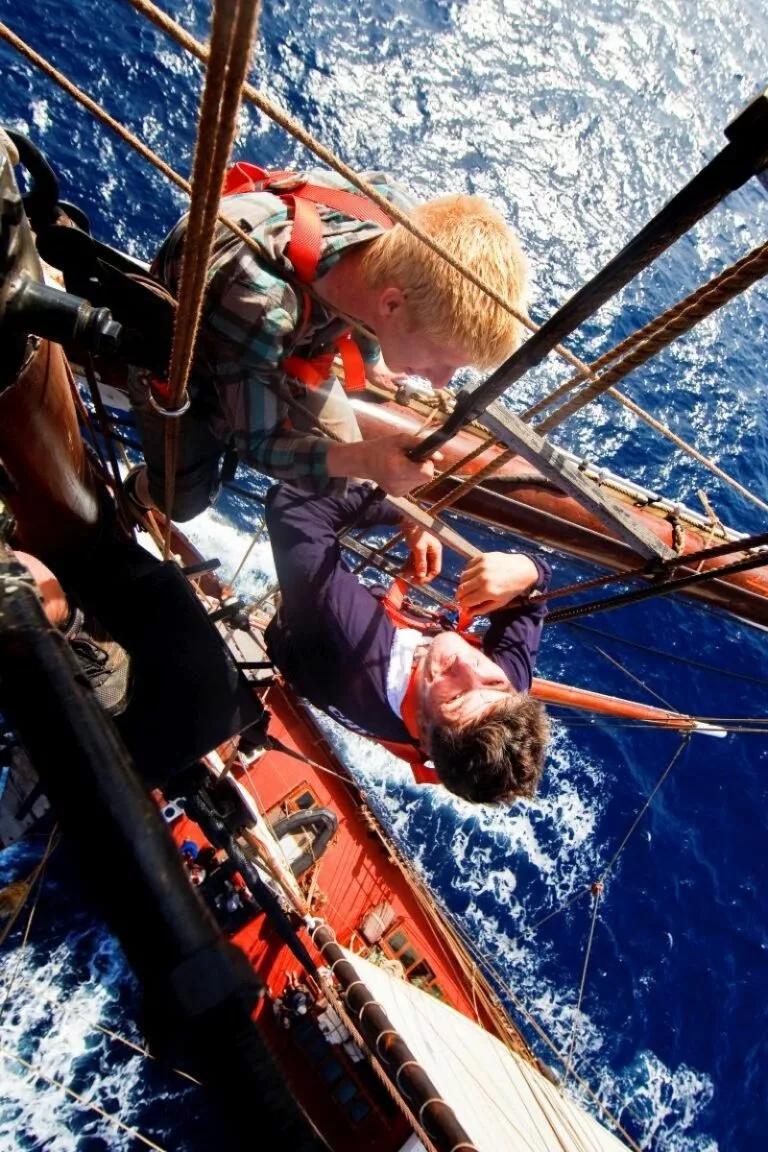 Takelagetails der Oosterschelde