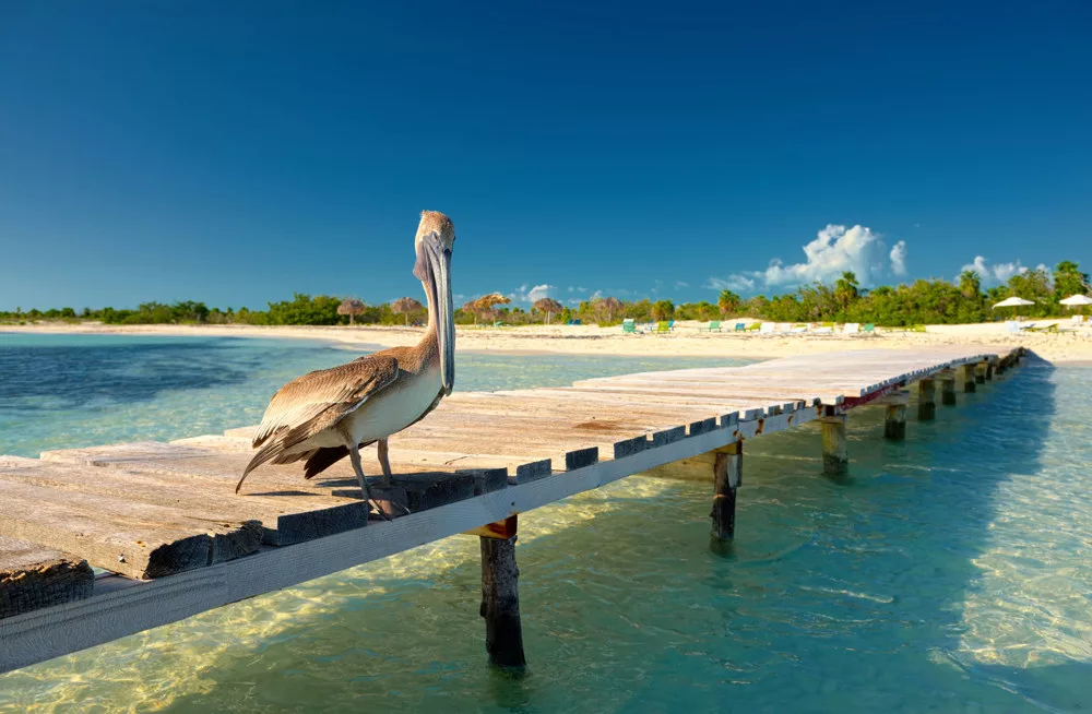 Scf Dest 12 - Caribbean Sailing Cruise: St Maarten and the British Virgin Islands with Star Flyer