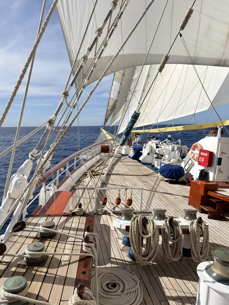 Scf Ship 04