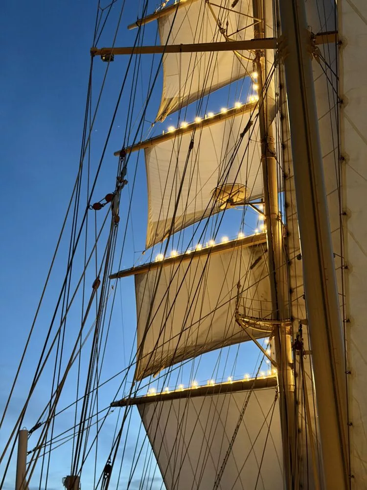 Scf Ship 10