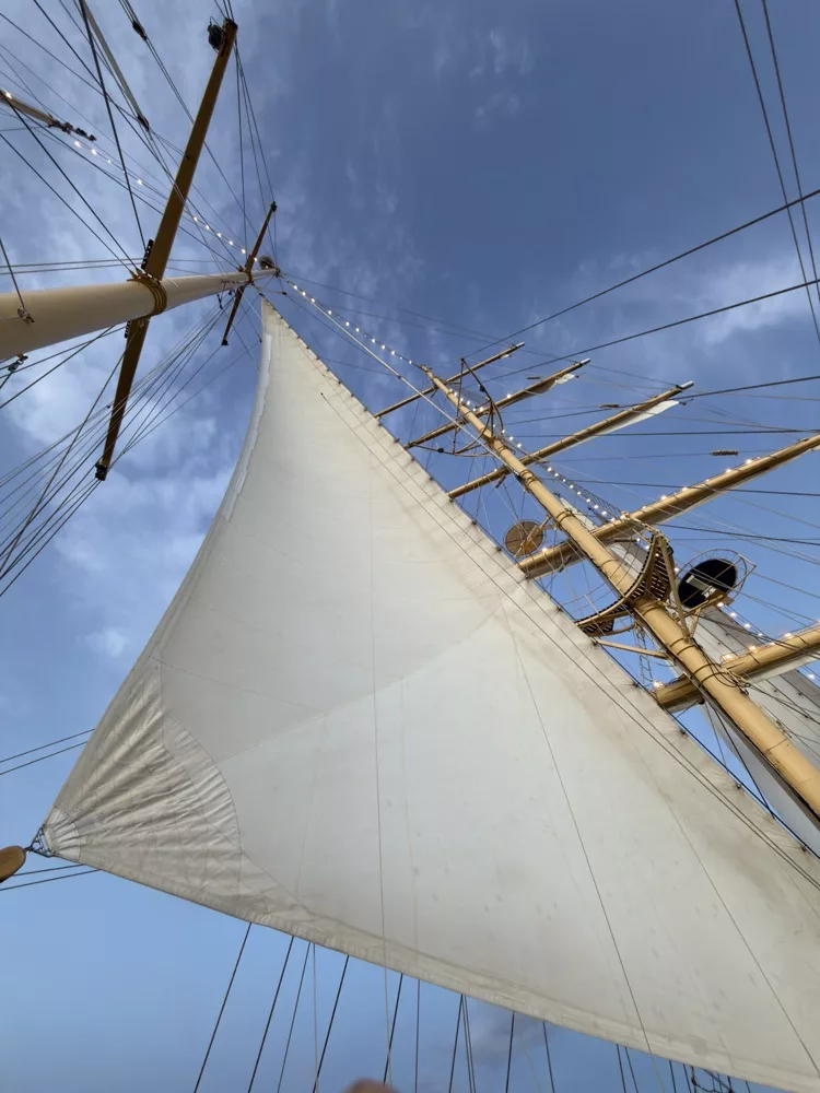 Scf Ship 11