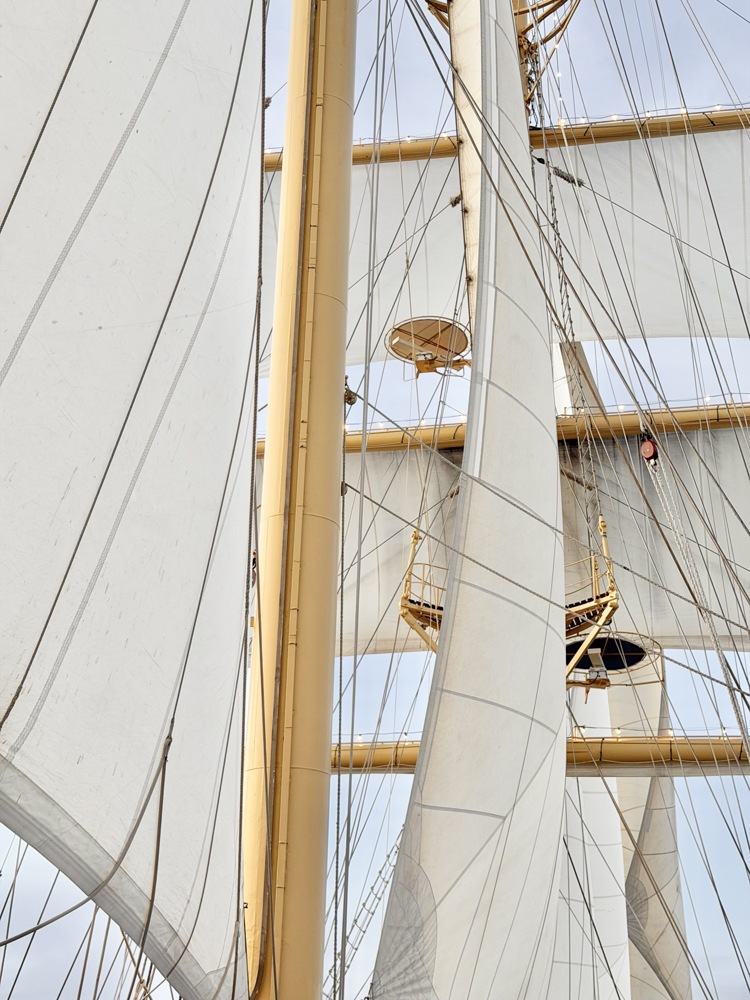 Scf Ship 12