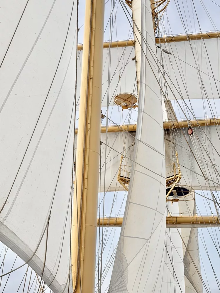 Scf Ship 12