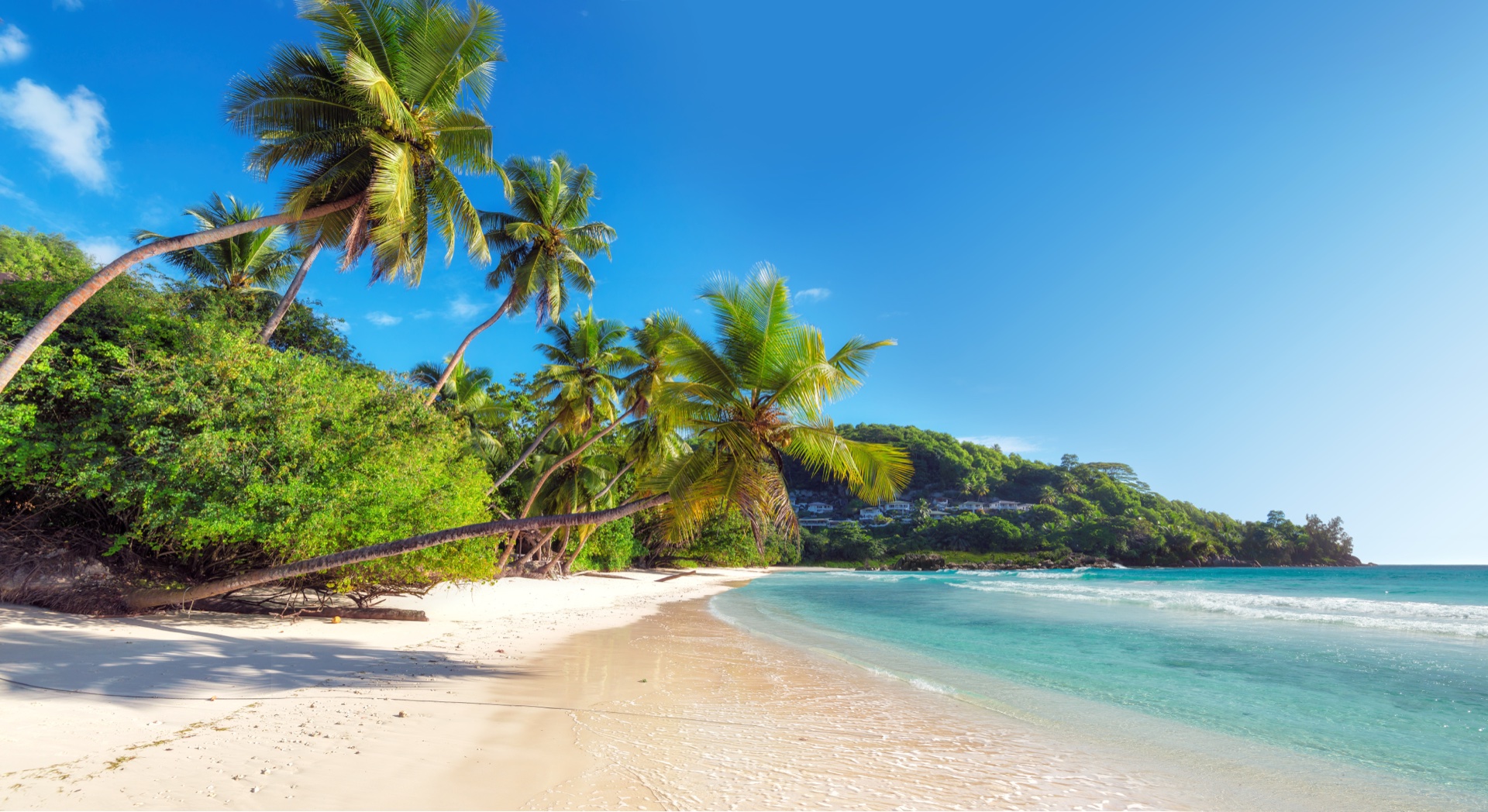 Seychelles Catamaran Cruise