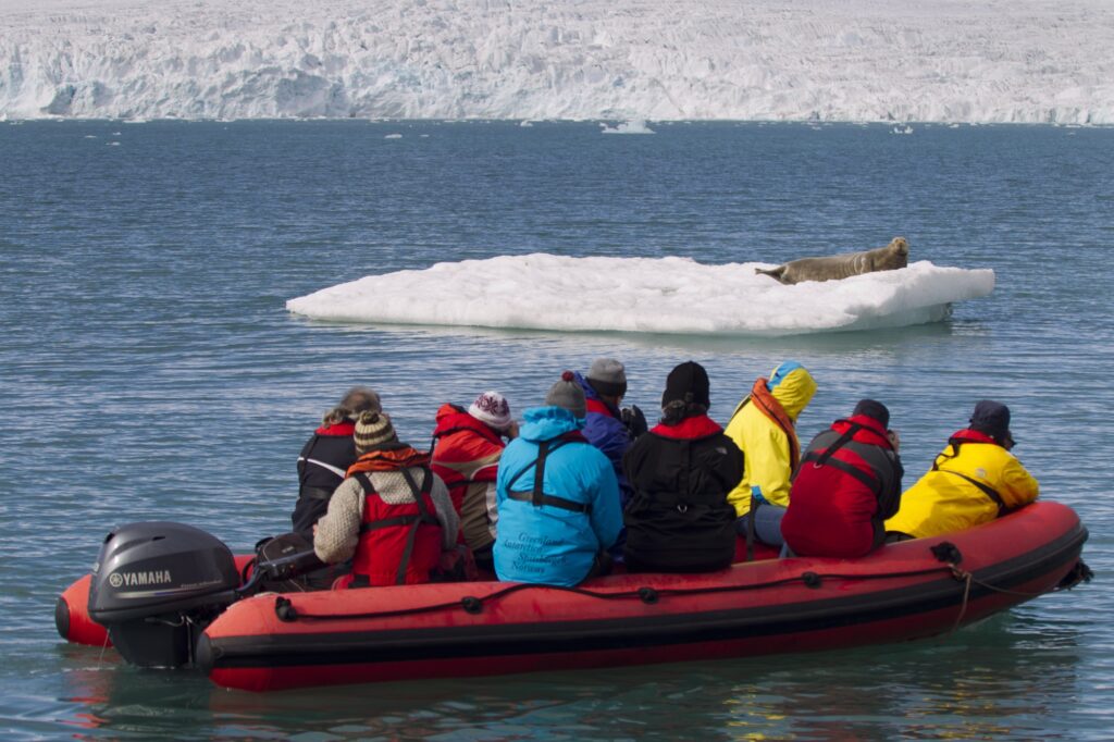 Zodiac-Ausflug mit Robbe auf einer Eisscholle, Spitzbergen