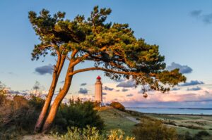Hiddensee-Dornbusch-3