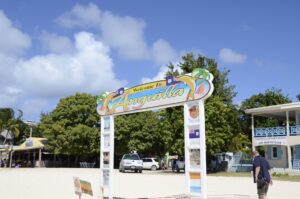Anguilla DSC0694