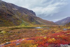 Grönland – Herbstliche Tundra im Bergtal