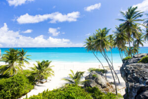 Barbados - Bottom Bay mit Palmen, weißem Sand und türkisem Meer