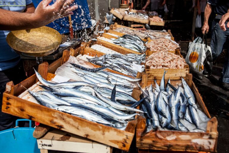 Frischer Fisch am Fischmarkt La Pescheria in Catania, Sizilien