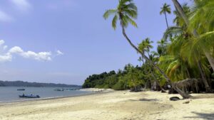 Strand und Regenwald der Isla Coiba, Panama