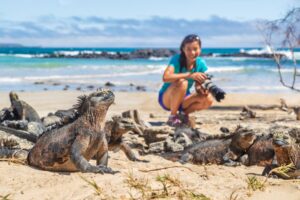 Galápagos - Meerechsen am Strand