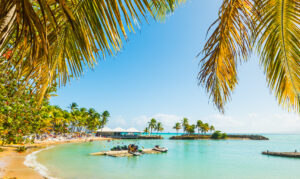 Katamaran-Reise Guadeloupe - Bucht von Bas du Fort mit Palmen und tuerkisem Wasser