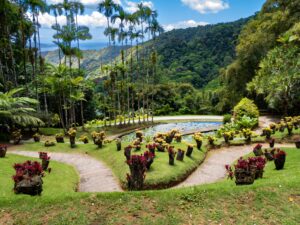 Martinique - Jardin de Balata mit Bergkulisse