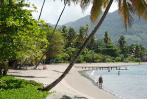 Roseau - palmengesäumter Strand vor den grünen Regenwaldbergen der Insel Dominica