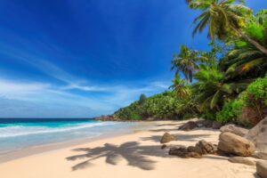 Granitfelsen an einem Palmenstrand auf den Seychellen