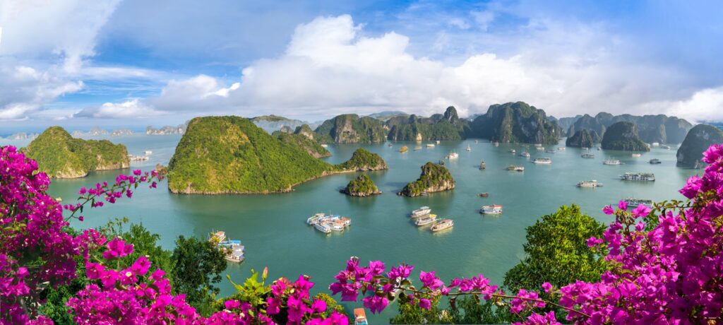 Ha Long Bay - limestone karsts and junks on turquoise water