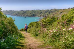 Kuestenwanderweg mit Wildblumen auf Guernsey, Kanalinseln