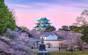 Burg Nagoya hinter bluehenden Kirschbaeumen im Abendrot, Japan