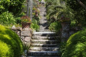 Subtropischer Abbey Garden auf Tresco, Isles of Scilly