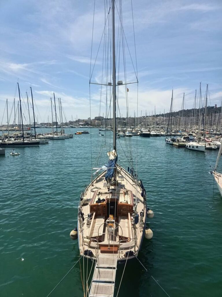 Lilli – Vogelperspektive Palma